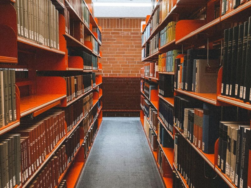 Elementary school librarian